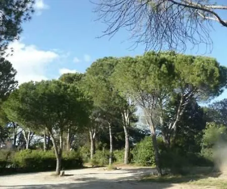 Soleil Azur Lägenhet *